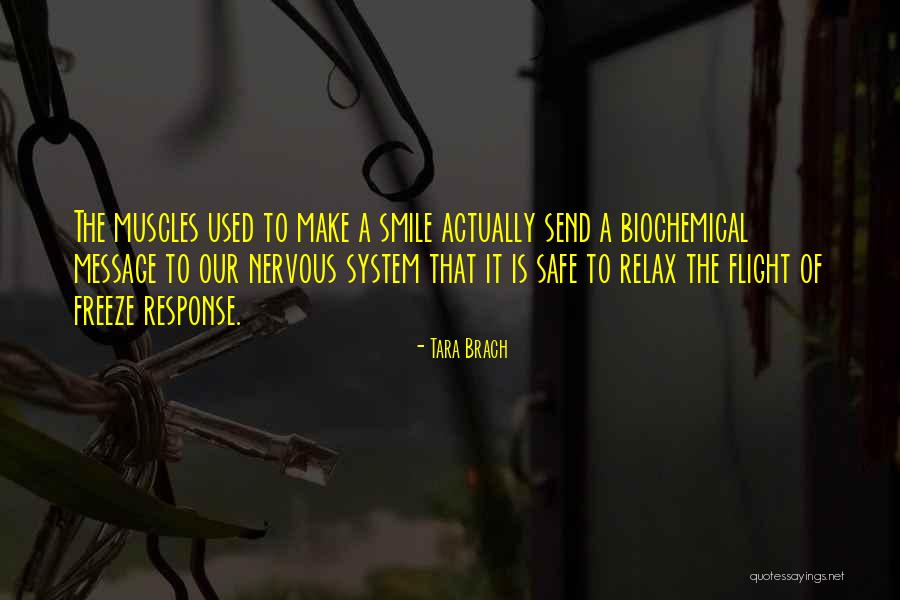 Have A Safe Flight Quotes By Tara Brach Have A Safe Flight Quotes By Tara Brach