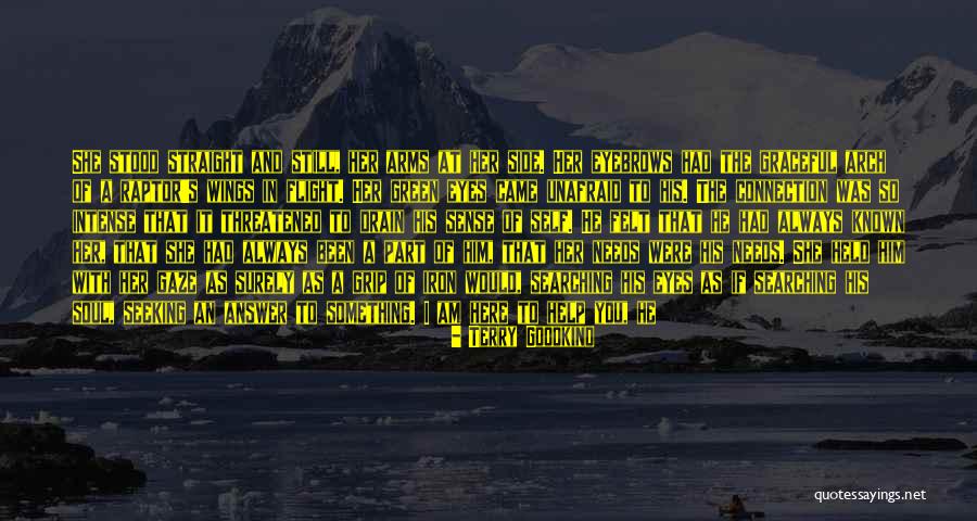 Have A Safe Flight Quotes By Terry Goodkind Have A Safe Flight Quotes By Terry Goodkind