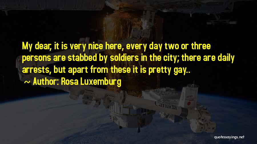 Have A Very Nice Day Quotes By Rosa Luxemburg