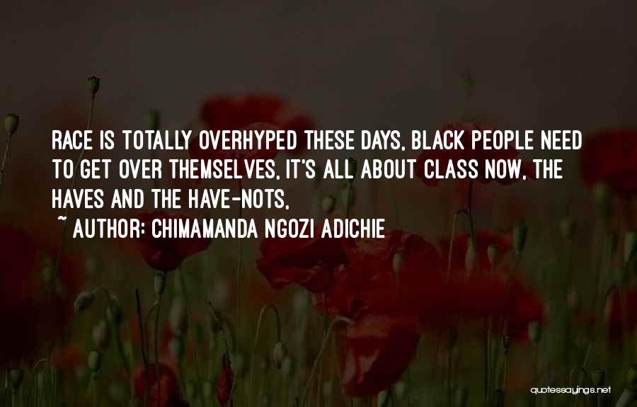 Have And Have Nots Quotes By Chimamanda Ngozi Adichie