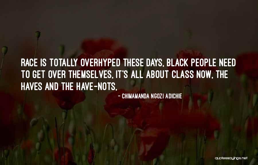 Have And Have Nots Quotes By Chimamanda Ngozi Adichie Have And Have Nots Quotes By Chimamanda Ngozi Adichie