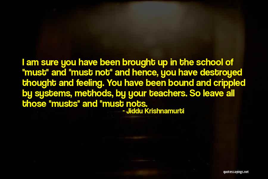 Have And Have Nots Quotes By Jiddu Krishnamurti