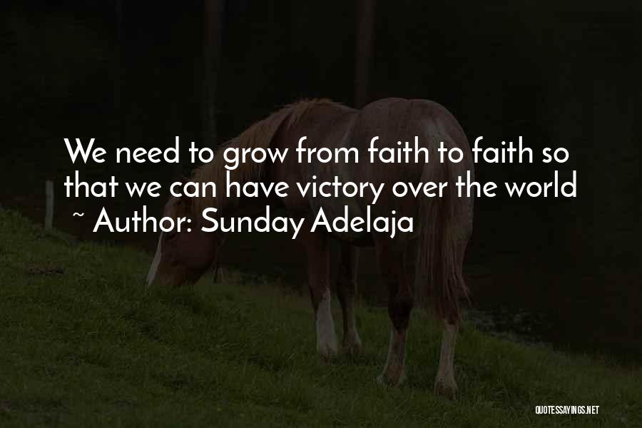 Have Faith Quotes By Sunday Adelaja