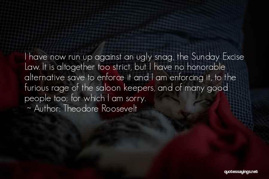 Have Good Sunday Quotes By Theodore Roosevelt