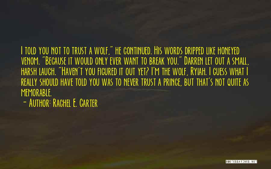 Have I Ever Told You Quotes By Rachel E. Carter