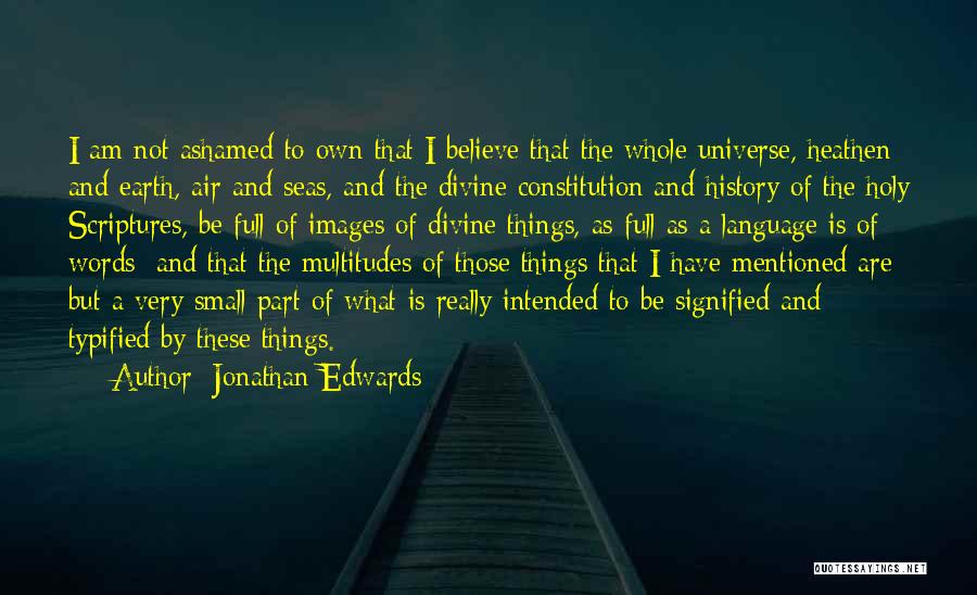 Have I Mentioned Quotes By Jonathan Edwards