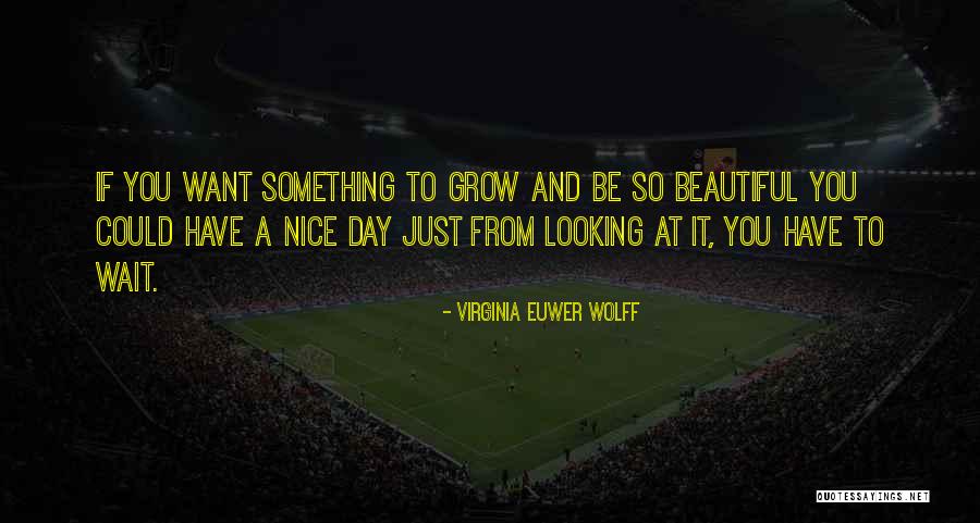Have Nice Day Quotes By Virginia Euwer Wolff Have Nice Day Quotes By Virginia Euwer Wolff