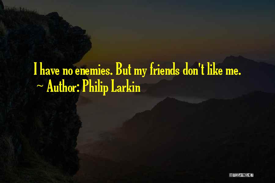 Have No Enemies Quotes By Philip Larkin