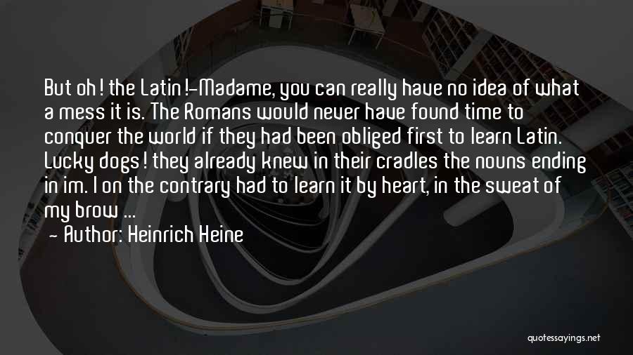 Have No Idea Quotes By Heinrich Heine