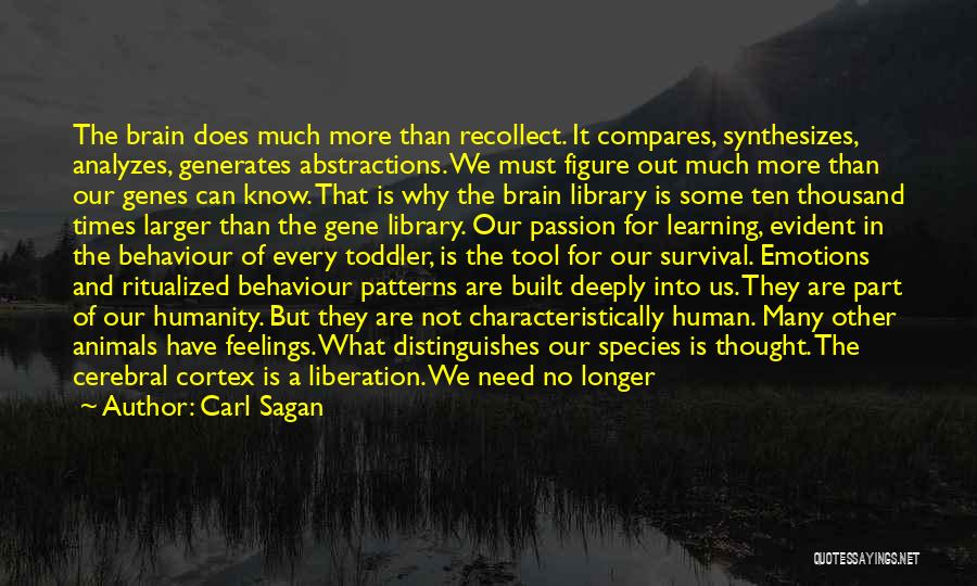 Have No Mercy Quotes By Carl Sagan Have No Mercy Quotes By Carl Sagan