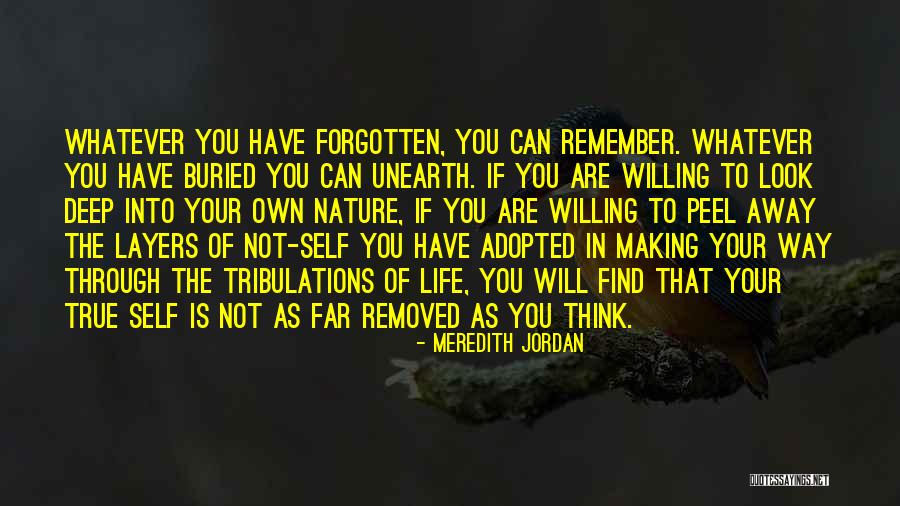Have Not Forgotten You Quotes By Meredith Jordan Have Not Forgotten You Quotes By Meredith Jordan