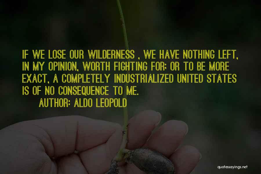 Have Nothing To Lose Quotes By Aldo Leopold