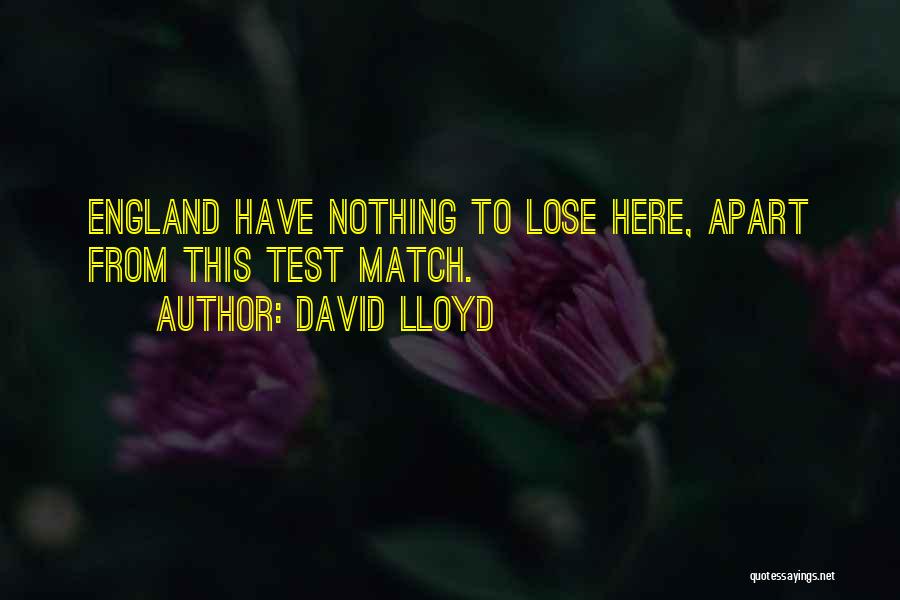 Have Nothing To Lose Quotes By David Lloyd