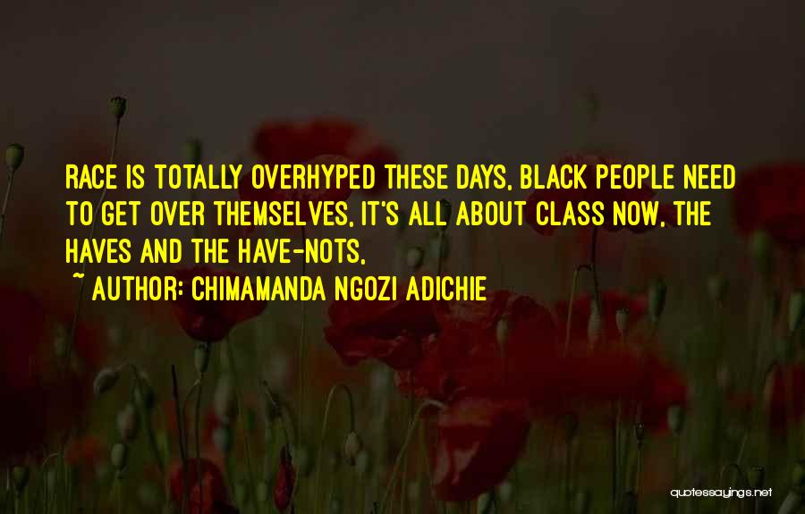 Have Nots Quotes By Chimamanda Ngozi Adichie