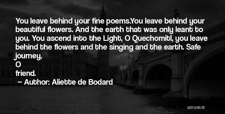 Have Safe Journey Quotes By Aliette De Bodard