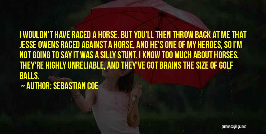 Have So Much To Say Quotes By Sebastian Coe