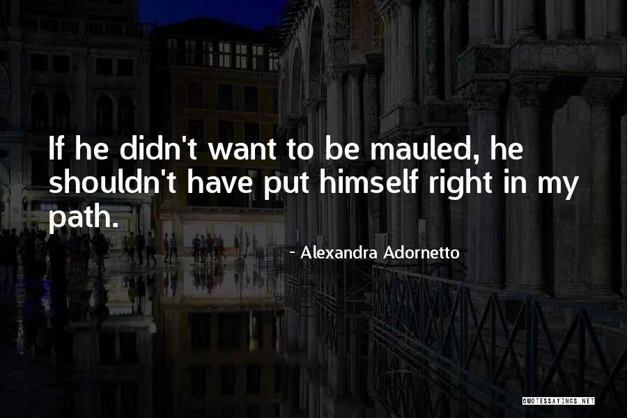 Have To Be Right Quotes By Alexandra Adornetto Have To Be Right Quotes By Alexandra Adornetto