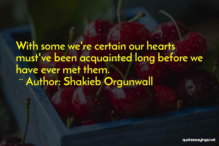 Have We Met Before Quotes By Shakieb Orgunwall