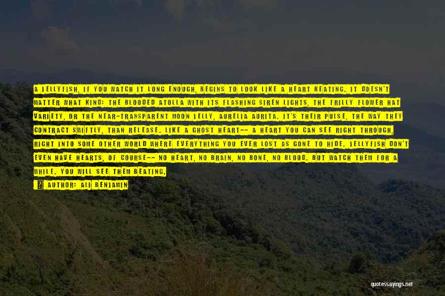 Have You Ever Thought Quotes By Ali Benjamin Have You Ever Thought Quotes By Ali Benjamin