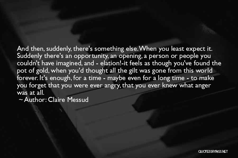 Have You Ever Thought Quotes By Claire Messud