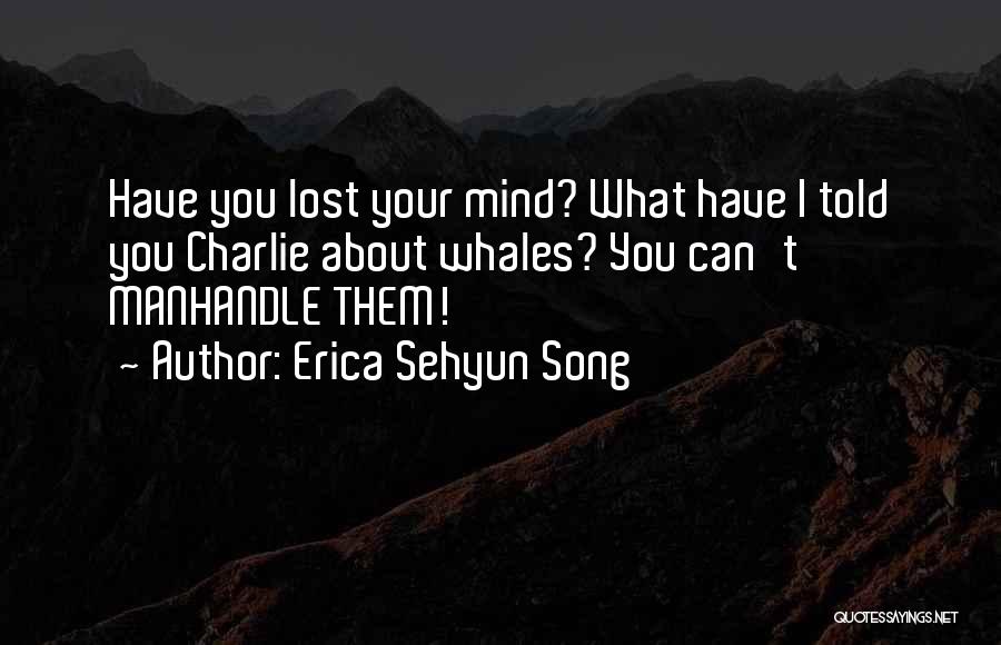 Have You Lost Your Mind Quotes By Erica Sehyun Song