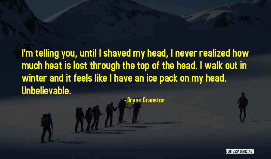 Have You Never Realized Quotes By Bryan Cranston Have You Never Realized Quotes By Bryan Cranston