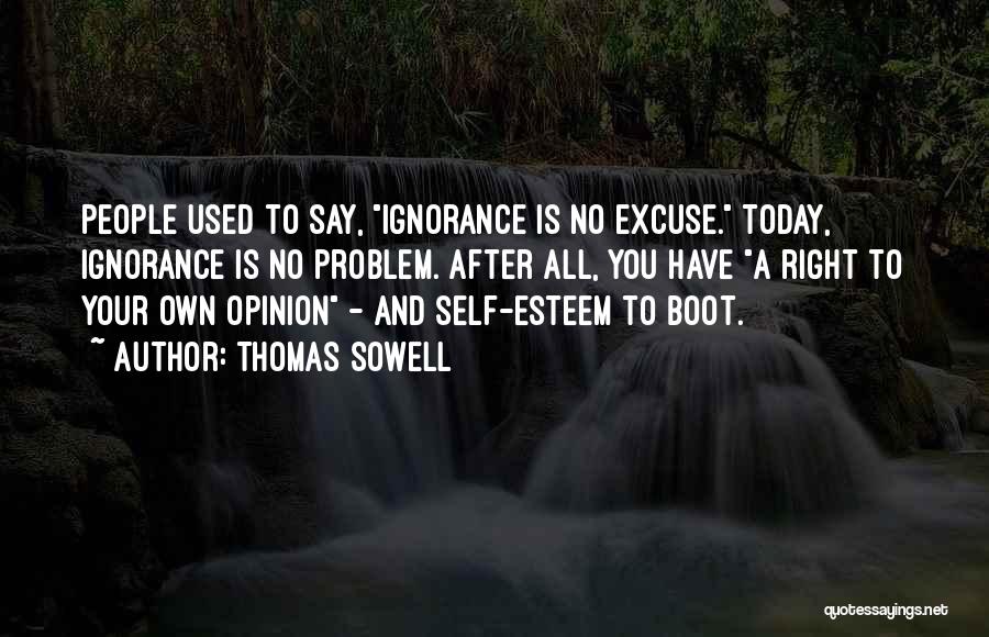 Have Your Own Opinion Quotes By Thomas Sowell