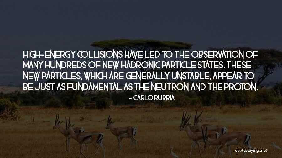 Haveasouppie Quotes By Carlo Rubbia Haveasouppie Quotes By Carlo Rubbia