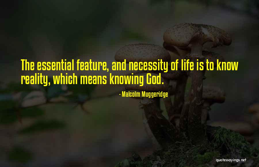 Haveman Electric Quotes By Malcolm Muggeridge Haveman Electric Quotes By Malcolm Muggeridge