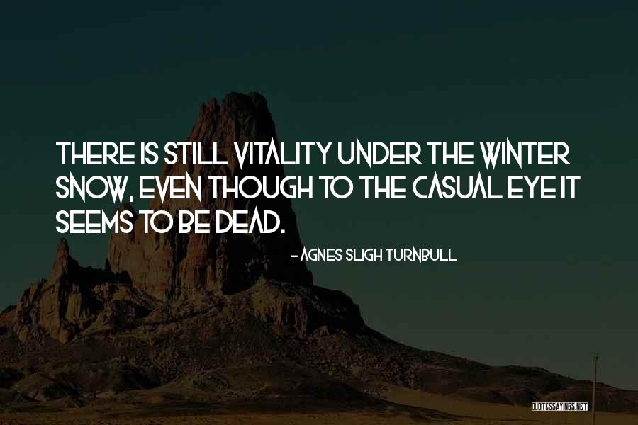 Havenors Quotes By Agnes Sligh Turnbull Havenors Quotes By Agnes Sligh Turnbull
