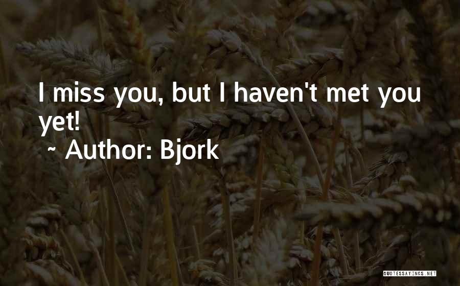 Haven't Met You Yet Quotes By Bjork