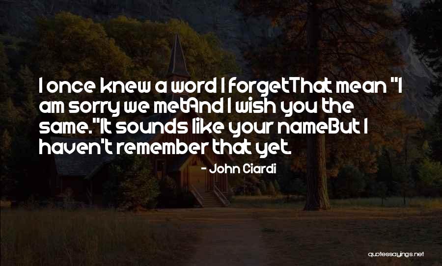 Haven't Met You Yet Quotes By John Ciardi Haven't Met You Yet Quotes By John Ciardi