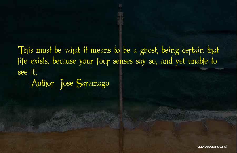 Haverbink Quotes By Jose Saramago