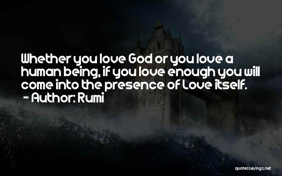 Haverbink Quotes By Rumi