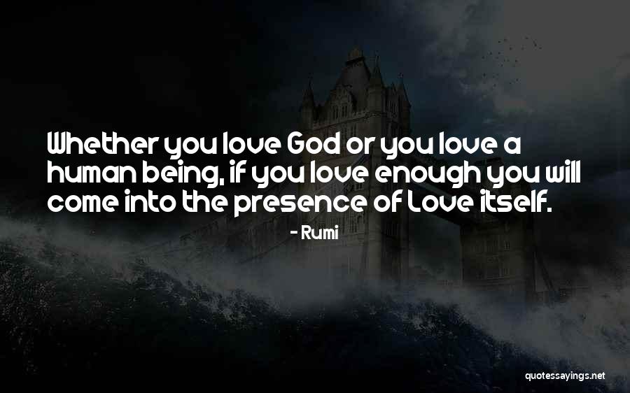 Haverbink Quotes By Rumi