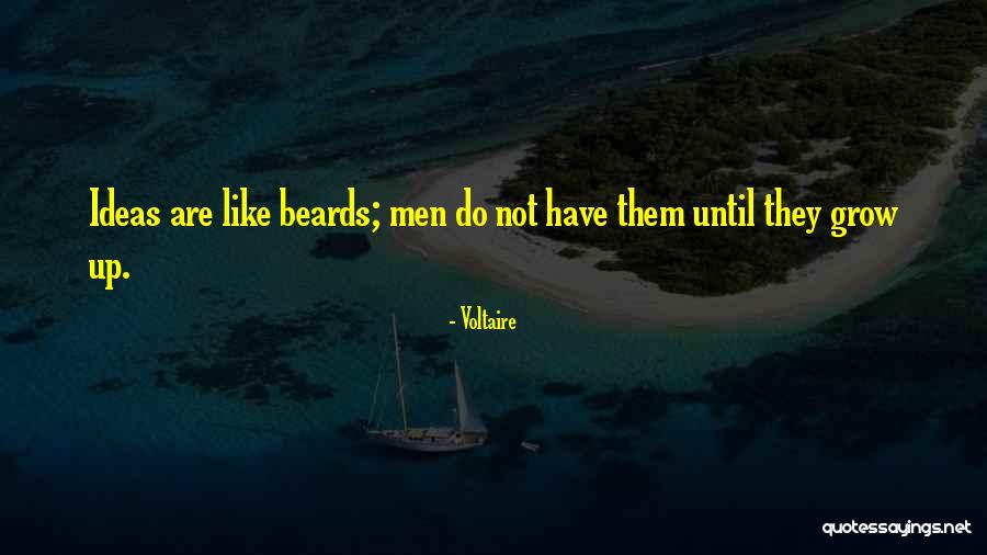 Haversack Civil War Quotes By Voltaire Haversack Civil War Quotes By Voltaire