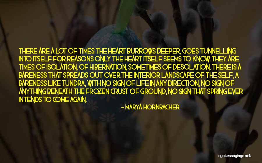 Haverstein Quotes By Marya Hornbacher Haverstein Quotes By Marya Hornbacher