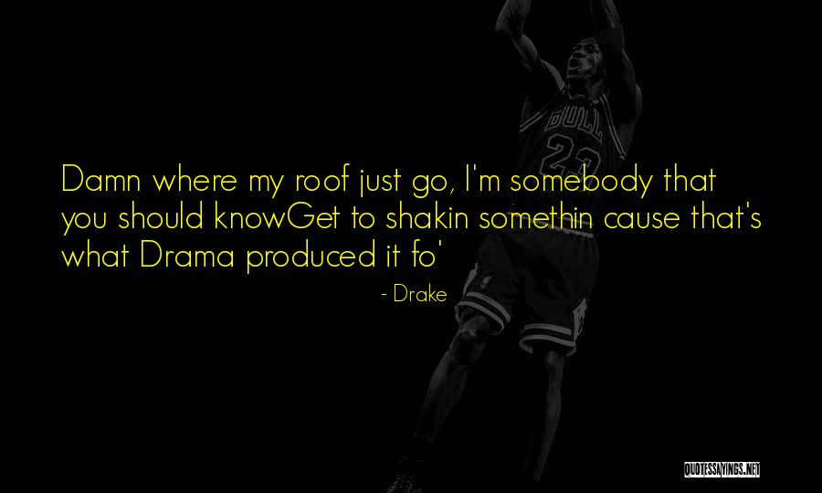 Haverstrom Quotes By Drake Haverstrom Quotes By Drake