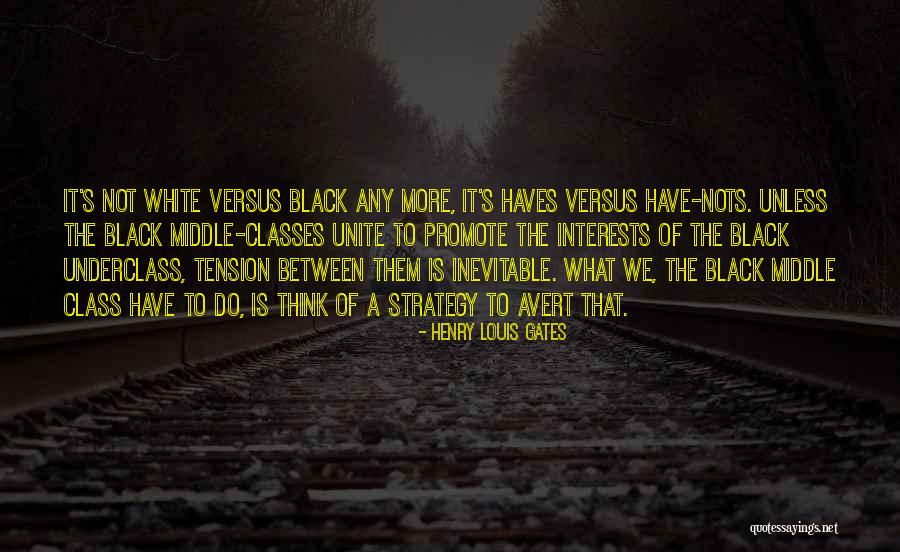 Haves Haves Not Quotes By Henry Louis Gates Haves Haves Not Quotes By Henry Louis Gates