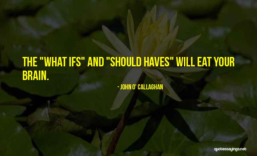 Haves Haves Not Quotes By John O' Callaghan