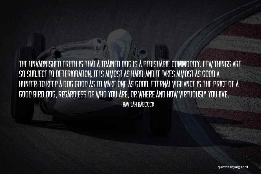 Havilah Babcock Quotes 1530301 Havilah Babcock Quotes 1530301