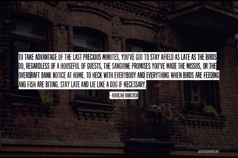 Havilah Babcock Quotes 1861783 Havilah Babcock Quotes 1861783