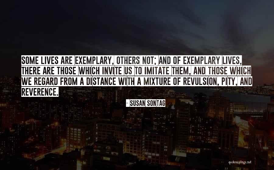 Having 9 Lives Quotes By Susan Sontag Having 9 Lives Quotes By Susan Sontag