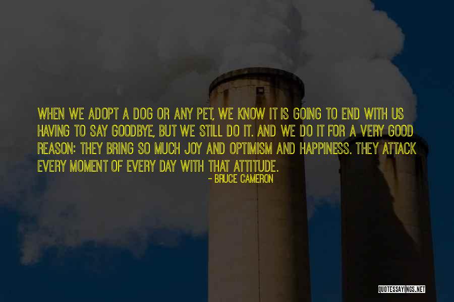 Having A Attitude Quotes By Bruce Cameron Having A Attitude Quotes By Bruce Cameron