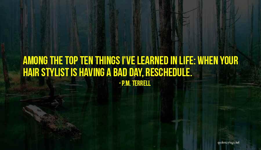 Having A Bad Hair Day Quotes By P.M. Terrell