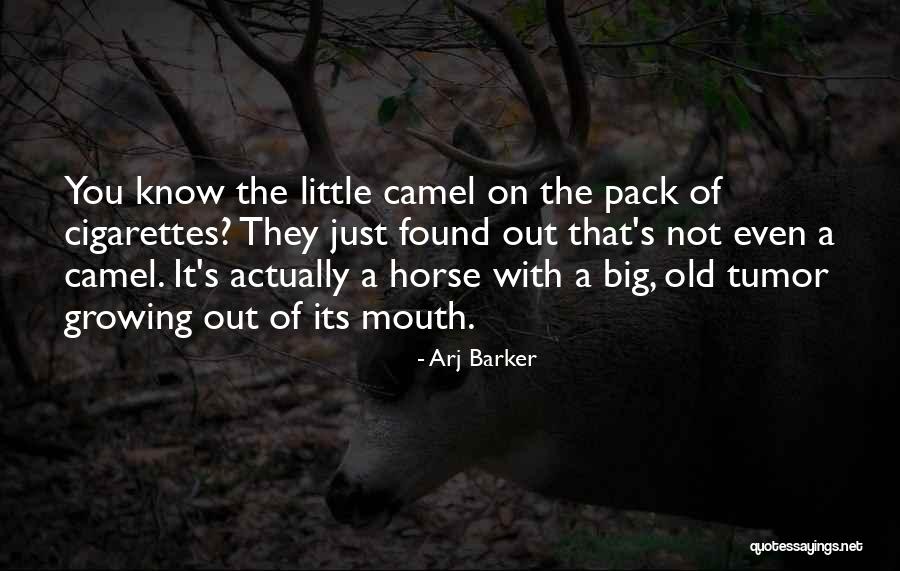 Having A Big Mouth Quotes By Arj Barker