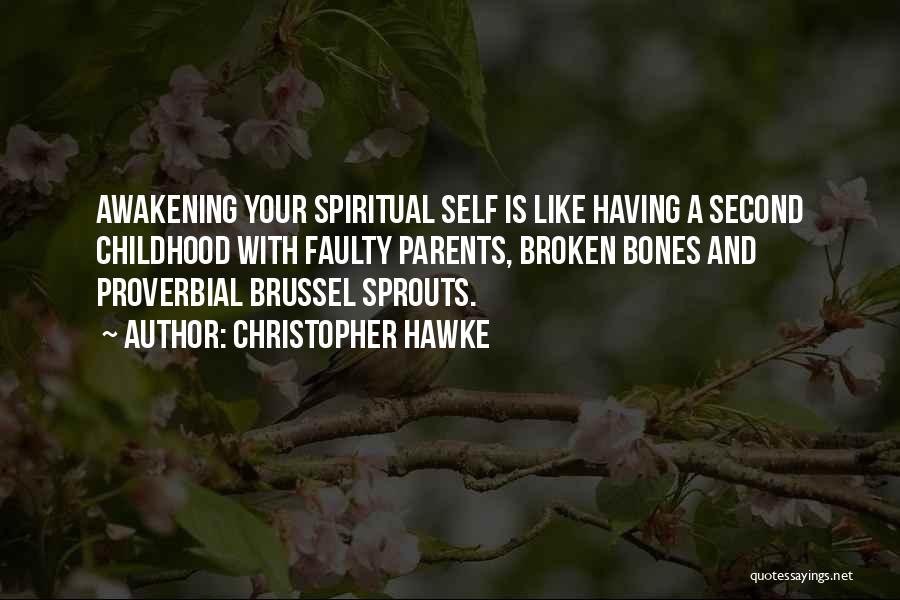 Having A Broken Spirit Quotes By Christopher Hawke