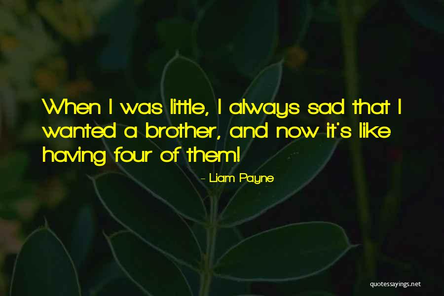 Having A Brother Quotes By Liam Payne Having A Brother Quotes By Liam Payne