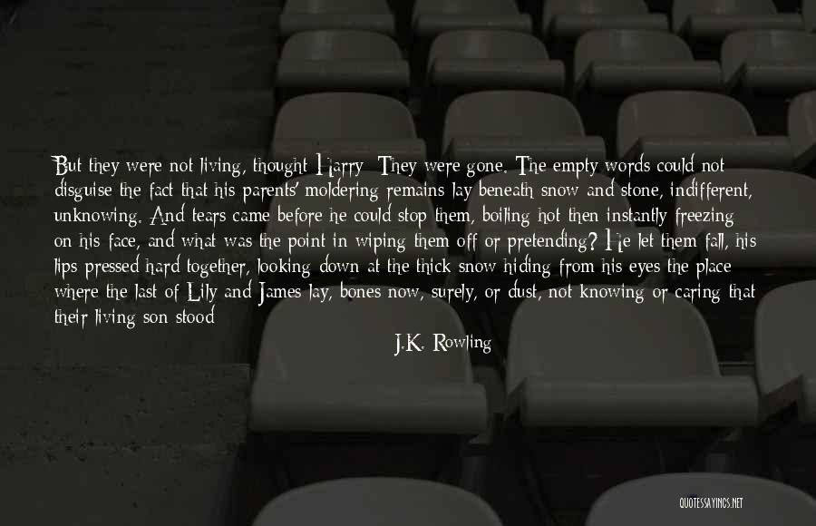 Having A Caring Heart Quotes By J.K. Rowling