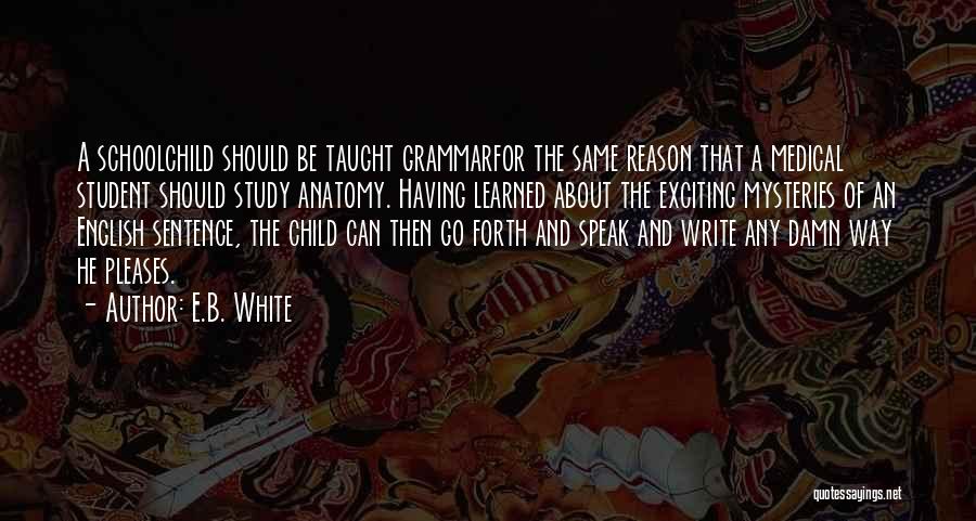 Having A Child Quotes By E.B. White